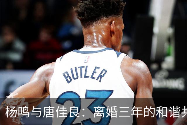 杨鸣与唐佳良：离婚三年的和谐共育之道